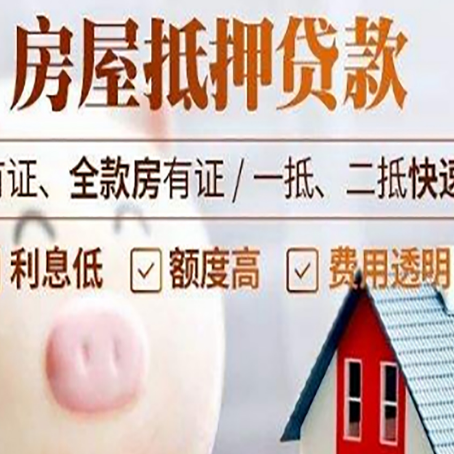 泾源贷款助贷公司新渝启服成立时间久