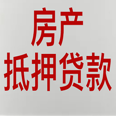 泾源贷款中介公司新渝启服能力强